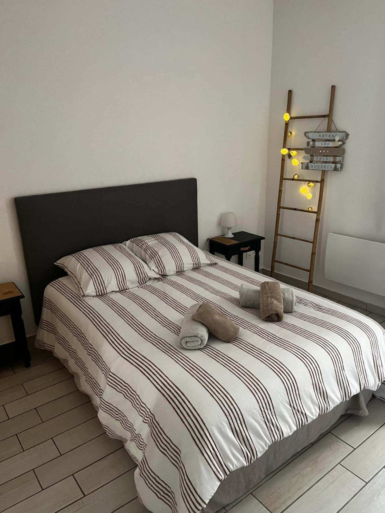 Joli Appartement Hypercentre T2, Classe Meuble De Tourisme 3 Avec Parking Gratuit Béziers Eksteriør billede
