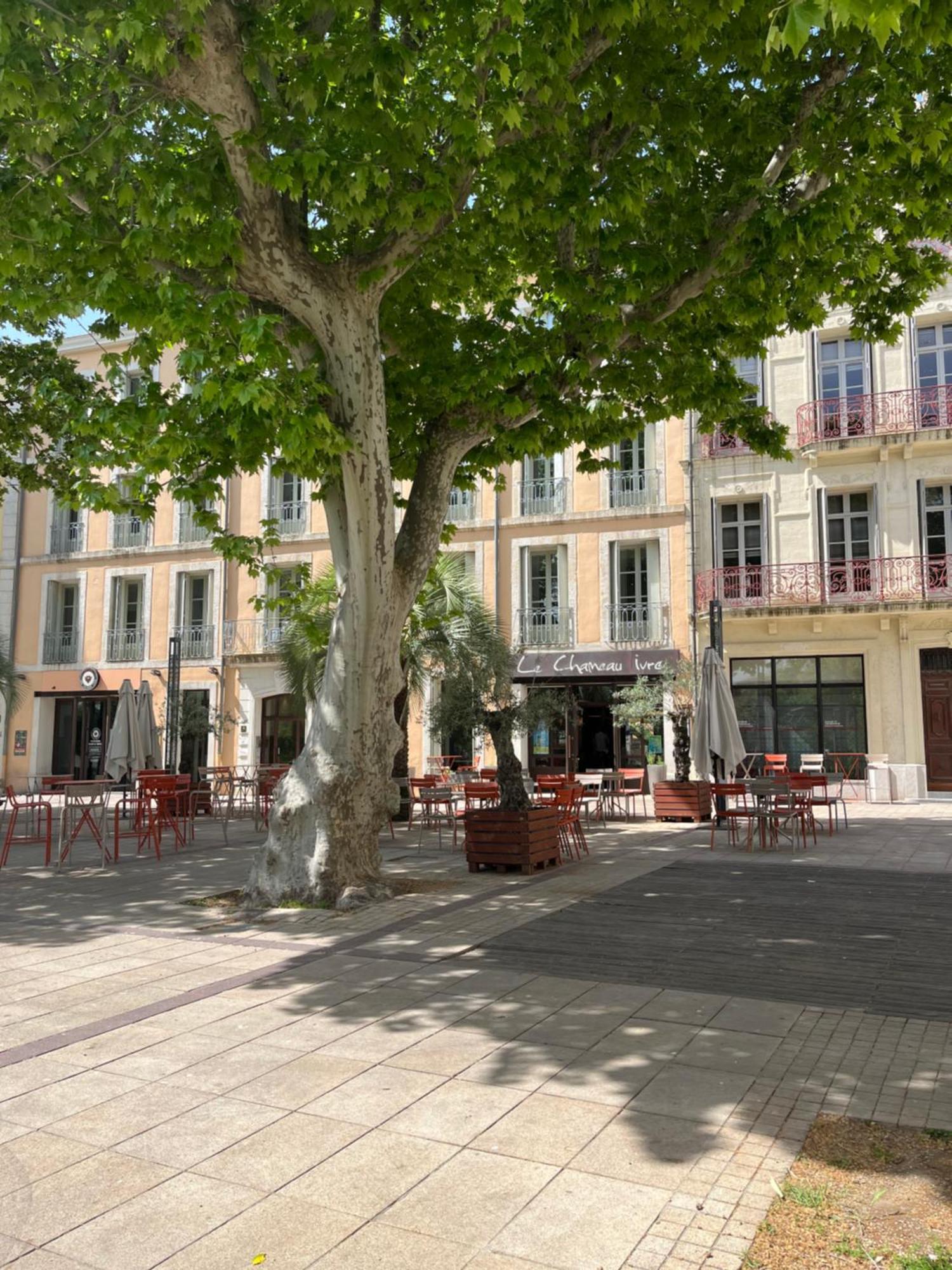 Joli Appartement Hypercentre T2, Classe Meuble De Tourisme 3 Avec Parking Gratuit Béziers Eksteriør billede